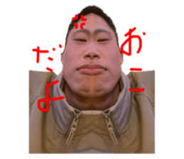 733105667