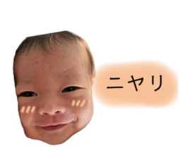 733125307
