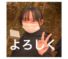 733141899