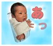 733156260