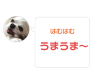 733157109