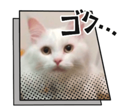 733209125