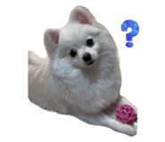 733225568