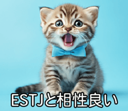 733228807