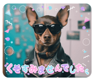 733236955