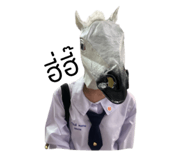 733248434