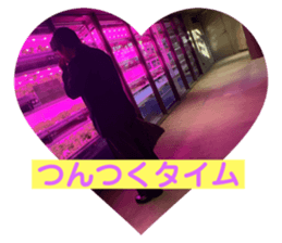 733269503