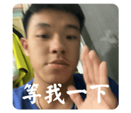733288819