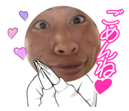 733301229