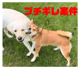 733301924