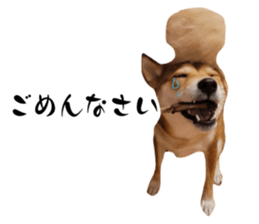 733301932