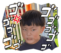 733302361
