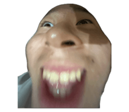 733303387