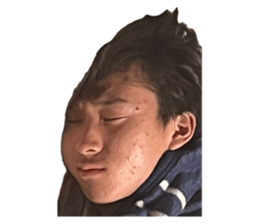 733303389