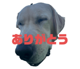 733305024