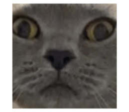 733305663