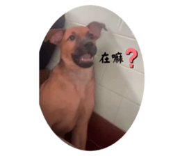 733308661