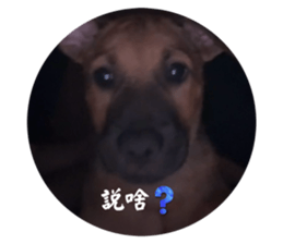 733308663