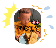 733316257