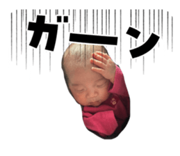 733324569