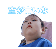 733324978