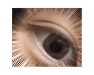 733325336