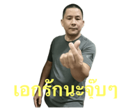 733325590
