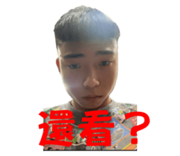733328758