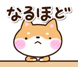 733332404