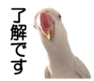 733336681