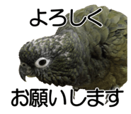 733336682