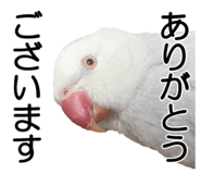 733336683