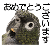 733336684