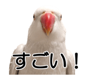 733336685