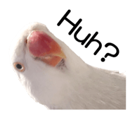733336687