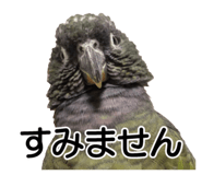 733336688
