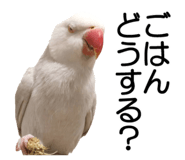 733336689