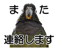 733336690