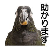 733336696
