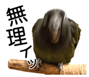 733336698