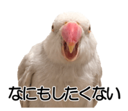 733336699