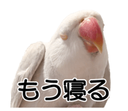 733336713