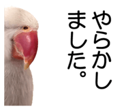 733336715