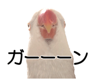 733336719