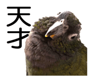 733336720
