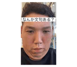 733338426