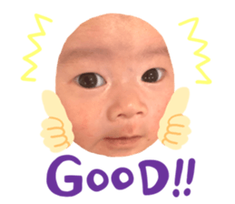 733340543