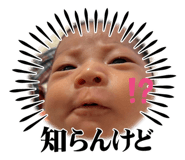 733340818