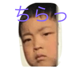 733340884