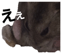 733348019